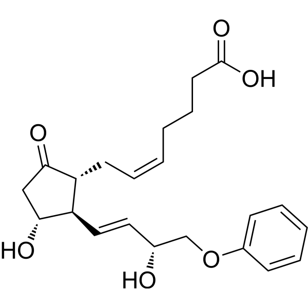 16-Phenoxy tetranor Prostaglandin E2 54382-74-0
